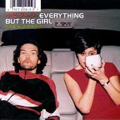 Everything but the Girl Album: “Walking Wounded”