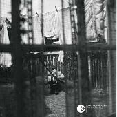 Paul McCartney Album: “Chaos and Creation in the Backyard”