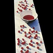 Paul McCartney Album: “The Paul McCartney Collection: McCartney (Remastered)”