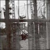 Paul McCartney Album: “Chaos and Creation in the Backyard”