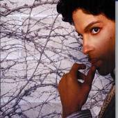 Prince Album: “Musicology”
