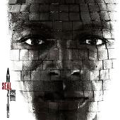 Seal Album: “Amazing (Thin White Duke Main)”