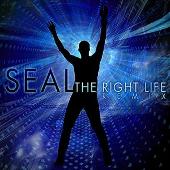 Seal Album: “The Right Life (Eddie Amador's Back Room Mix) (Single)”