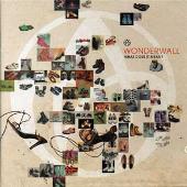 Disco de Wonderwall: “What Does It Mean?”