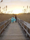 Beach House