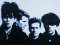 Echo & the Bunnymen