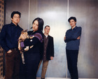 The Magnetic Fields